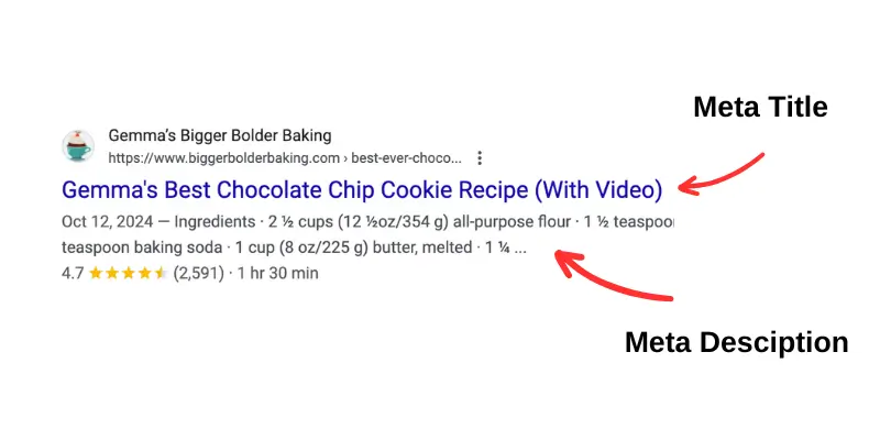 Screenshot of a Meta Title and Meta Description from Google Search Results